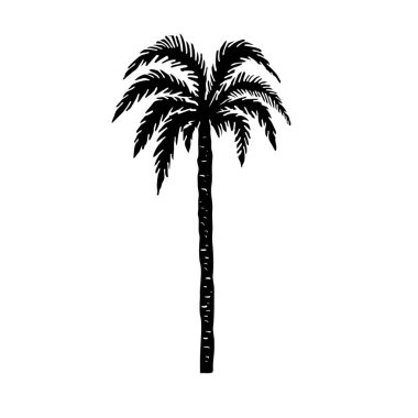çizilmiş palmiye ağacı şekil ver. Tasarım öğesi için poster, kart, afiş, t gömlek. Vektör görüntü
