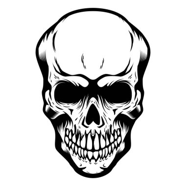 Skull isolated on white background. Design element for poster, card, t shirt, emblem. Vector illustration clipart
