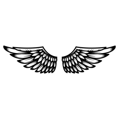Beyaz arka plan üzerinde izole kanat. Logo, amblem, etiket işareti için öğe tasarlayın. Vektör çizim