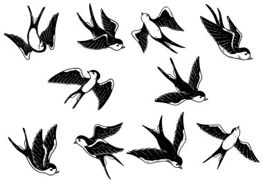 Elle çizilmiş swallow illüstrasyonlar beyaz arka plan üzerinde kümesi. Tasarım öğeleri için poster, kartı. Vektör görüntü