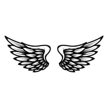 Beyaz arka plan üzerinde izole kanat. Logo, amblem, etiket işareti için öğe tasarlayın. Vektör çizim