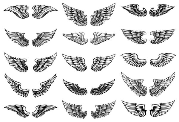 Набор иллюстраций птичьих крыльев в стиле татуировки. Элемент дизайна эмблемы, знака, логотипа, этикетки. Векторное изображение
