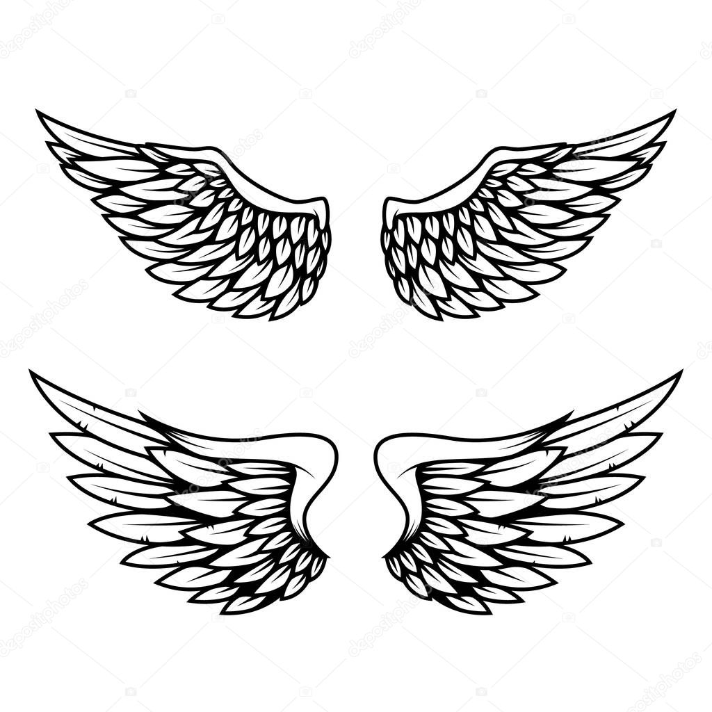 Set of wings isolated on white background. Design element for logo, label, emblem, sign. Vector illustration