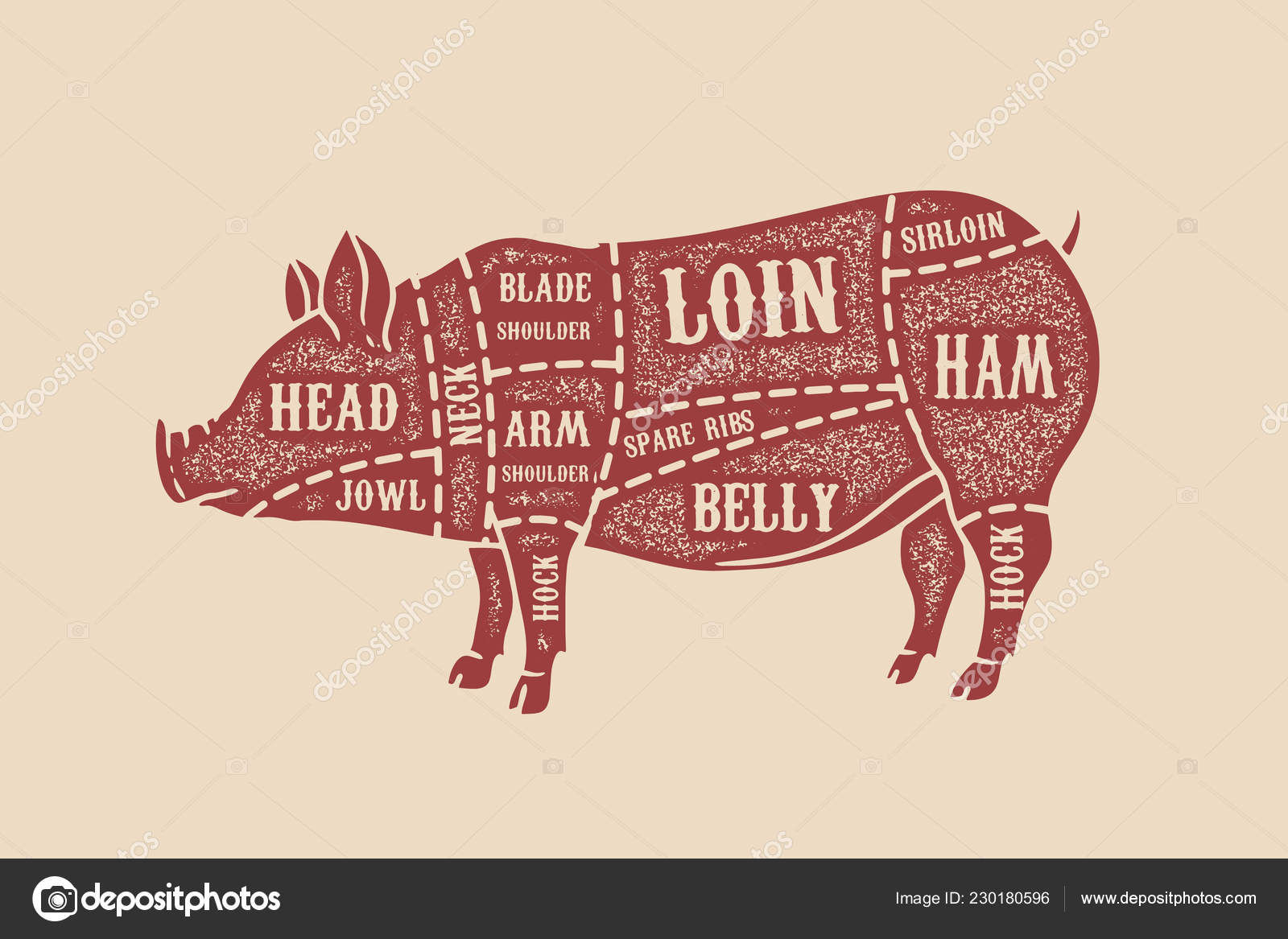 Pork Meat Chart Butcher