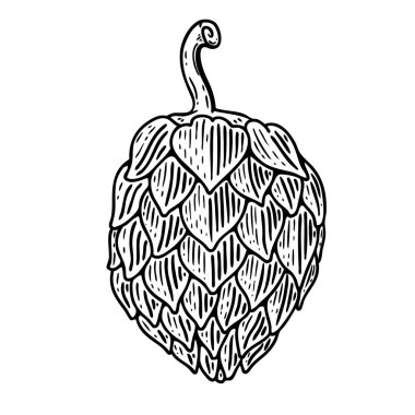 El bira hop resimde beyaz zemin üzerine çekilmiş. Tasarım öğeleri için logo, etiket, arma, işaret, rozet. Vektör görüntü