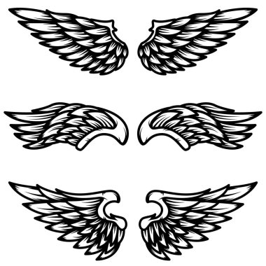 Beyaz arka plan üzerinde izole kanat kümesi. Logo, amblem, etiket işareti için öğe tasarlayın. Vektör çizim