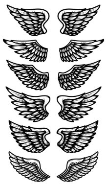 Beyaz arka plan üzerinde izole kanat kümesi. Logo, amblem, etiket işareti için öğe tasarlayın. Vektör çizim