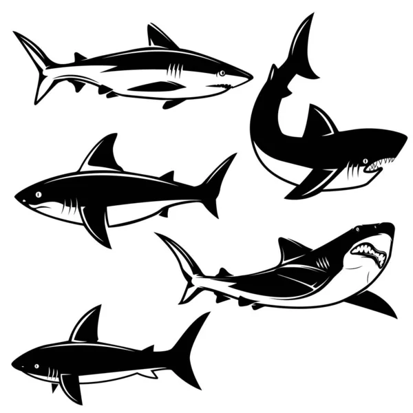 Set Illustrazioni Squali Sfondo Bianco Elemento Design Logo Etichetta Emblema — Vettoriale Stock