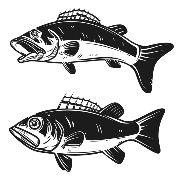 Set Illustrazioni Basso Pesce Isolato Sfondo Bianco Elementi Design Logo — Vettoriale Stock