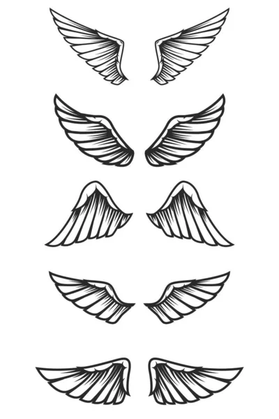Set Van Vleugels Witte Achtergrond Ontwerpelementen Voor Label Embleem Logo — Stockvector