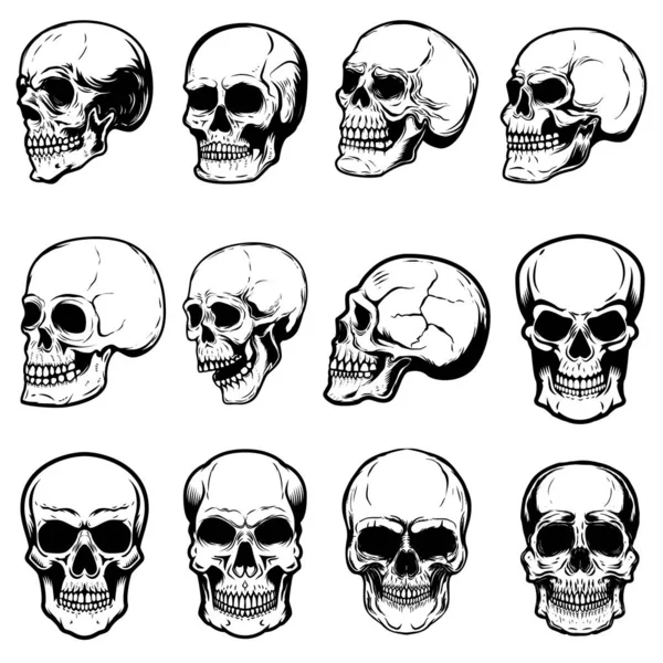 Conjunto Ilustraciones Cráneo Humano Sobre Fondo Blanco Elemento Diseño Para — Vector de stock