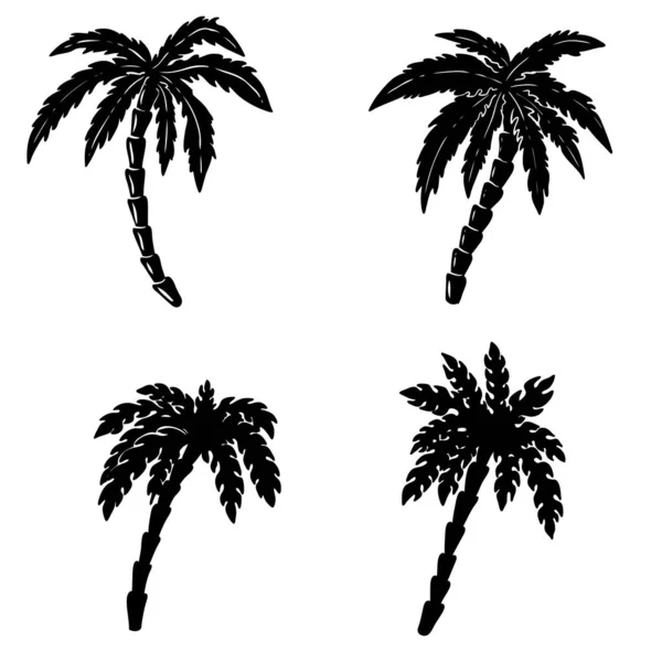 Uppsättning Handritad Palm Illustrationer Vit Bakgrund Designelement För Affisch Emblem — Stock vektor