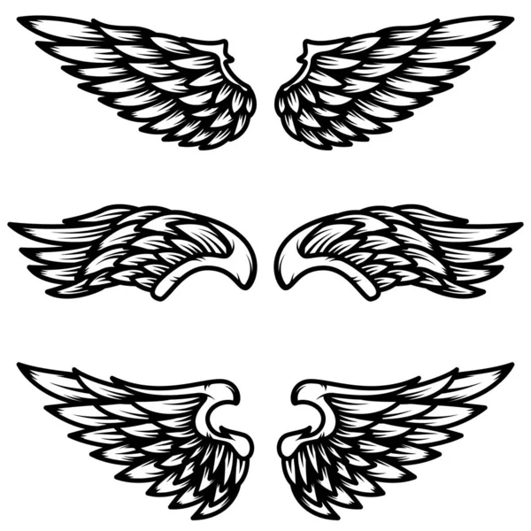 Satz Flügel Isoliert Auf Weißem Hintergrund Designelement Für Logo Etikett — Stockvektor