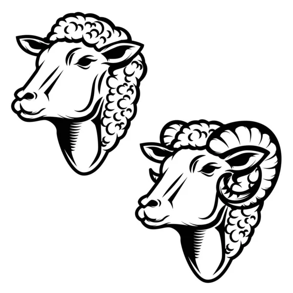 Set Sheep Head Illustration Ram Head Design Element Logo Label — Stock Vector