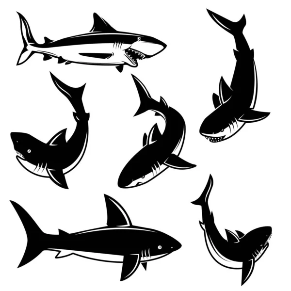Köpekbalığı Illüstrasyonlar Kümesi Tasarım Poster Yazdırma Için Öğe Amblem Işareti — Stok Vektör