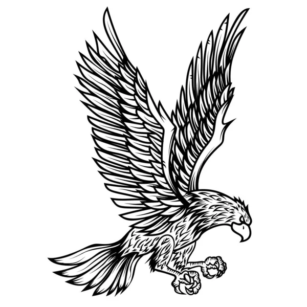 Kartal resimde beyaz arka plan üzerinde. Tasarım öğesi poster, kart, yazdırma, logo, etiket, amblem, işaret için. Vektör görüntü