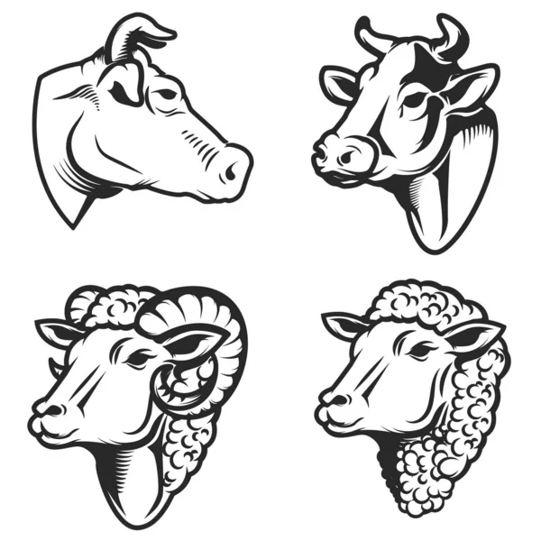 Zestaw Głowic Krów Owiec Białym Tle Element Etykieta Godło Znak — Wektor stockowy