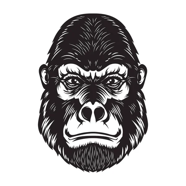 Gorilla Ape Head Illustration White Background Design Elements Poster Emblem — Stock Vector