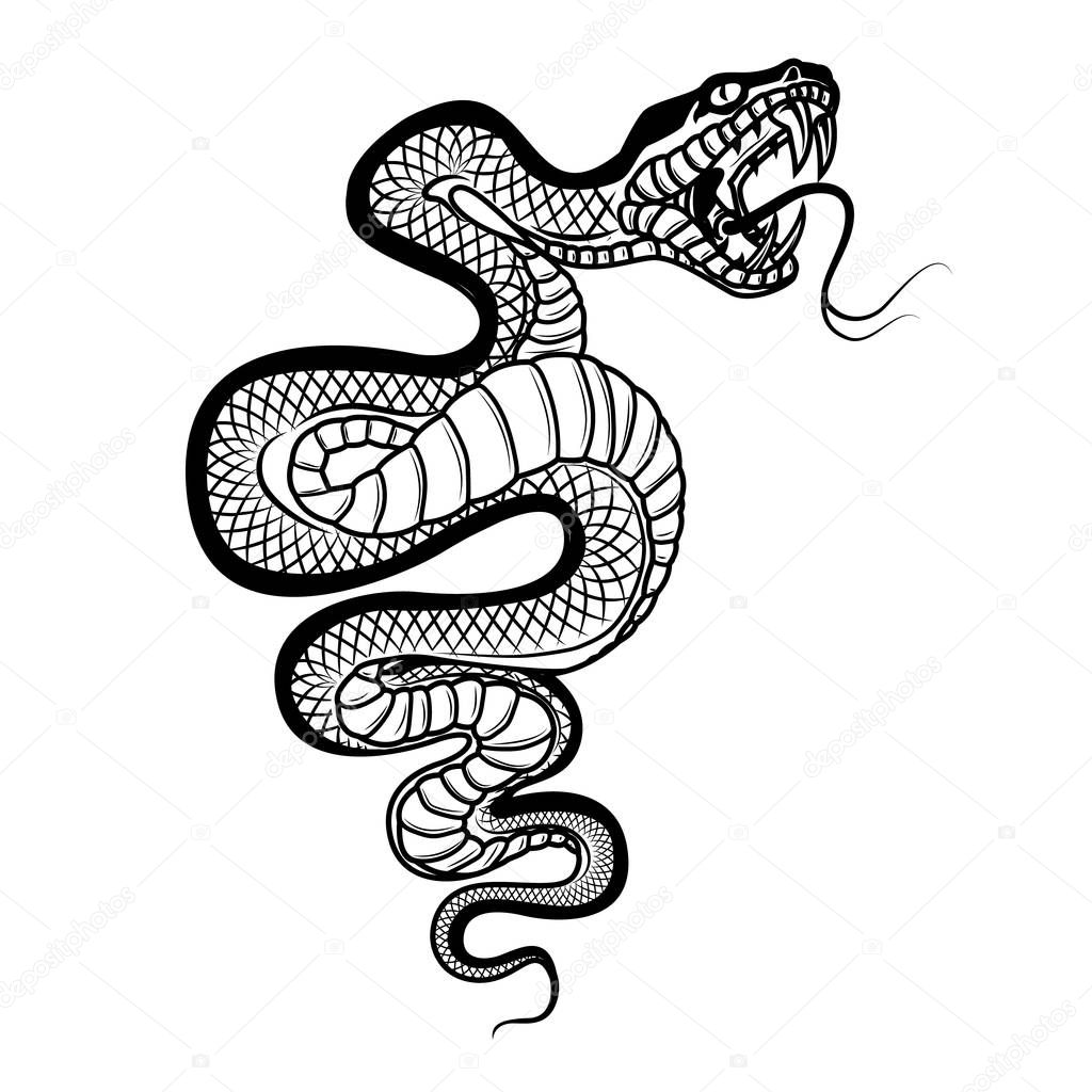 Snake illustration isolated on white background. Viper. Design element for logo, label,emblem, sign, badge. Vector illustration