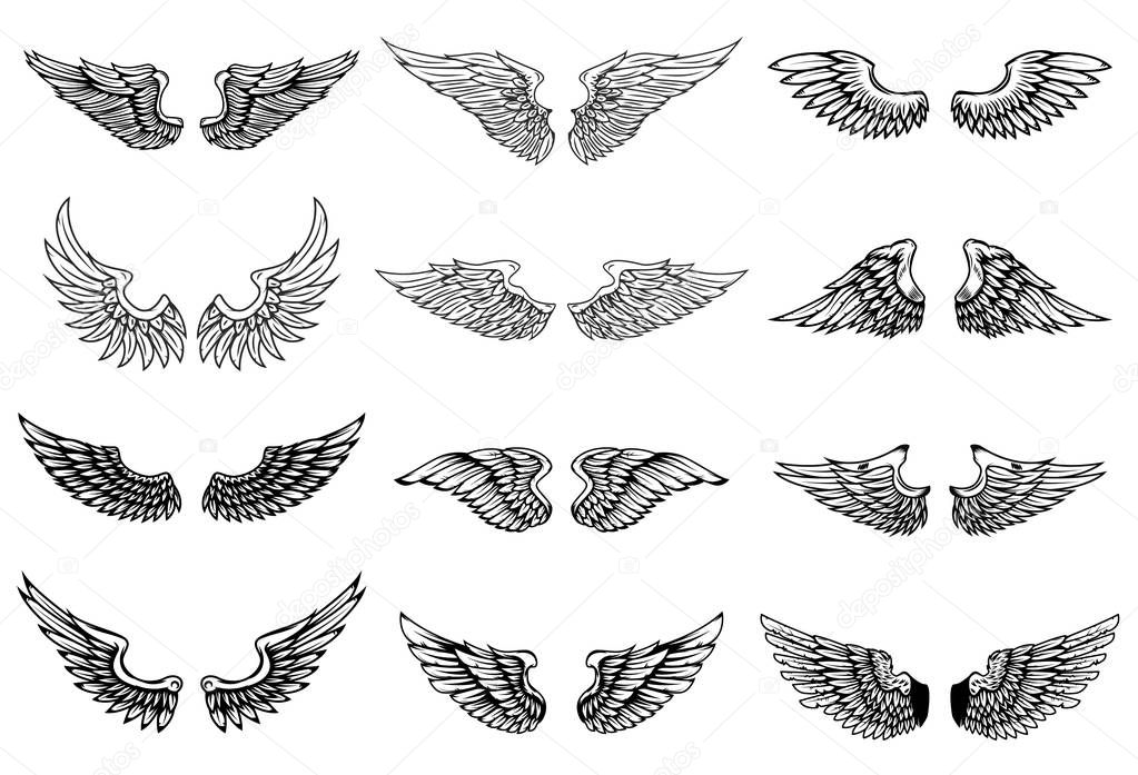 Set of wings illustrations isolated on white background. Design element for logo, label, emblem, sign. Vector illustration