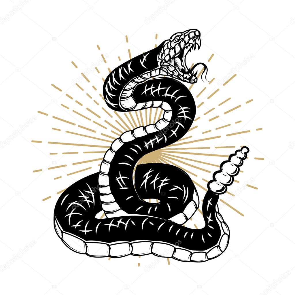 Snake illustration isolated on white background. Design element for poster, banner, t shirt. Vector illustration