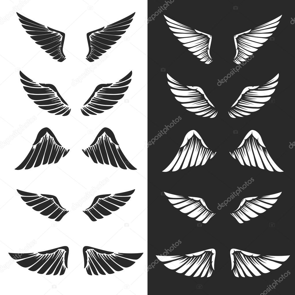 Set of wings on white background. Design elements for logo, label, emblem, sign. Vector image