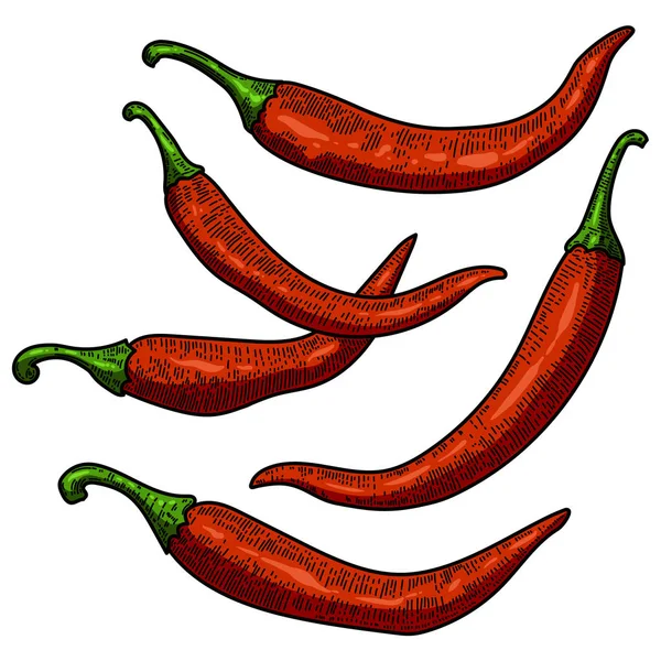 Uppsättning Chilipeppar Illustrationer Vit Bakgrund Designelement För Affisch Kort Banner — Stockfoto