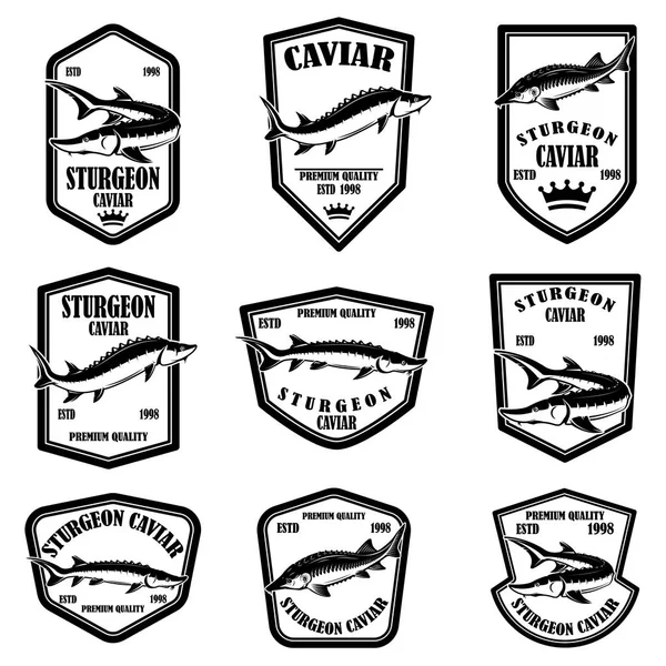 Conjunto Etiquetas Caviar Esturjão Elemento Design Para Logotipo Rótulo Emblema — Vetor de Stock