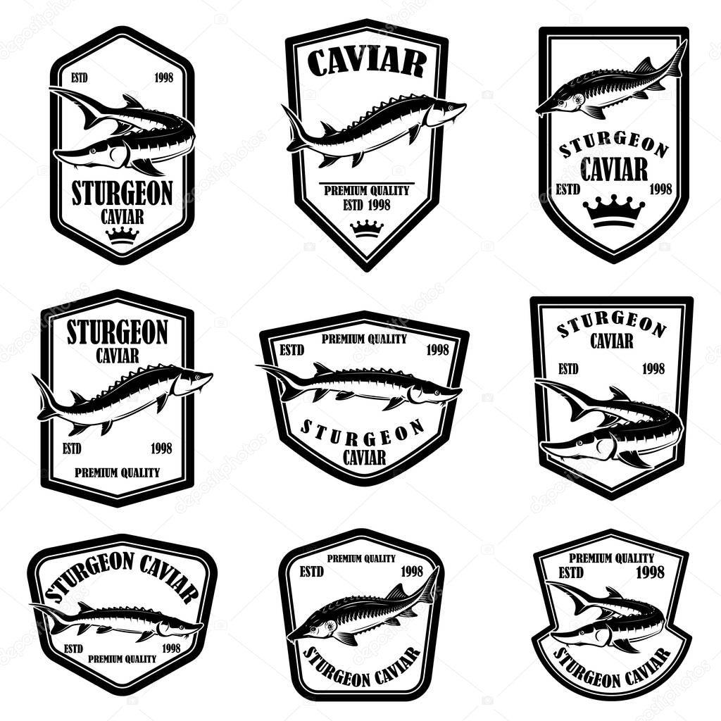 Set of sturgeon caviar labels. Design element for logo, label, emblem, sign. Vector illustration.