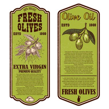 Vintage zeytinyağı el ilanı şablonları kümesi. Tasarım öğesi için logo, etiket, arma, işaret, rozet. Vektör çizim