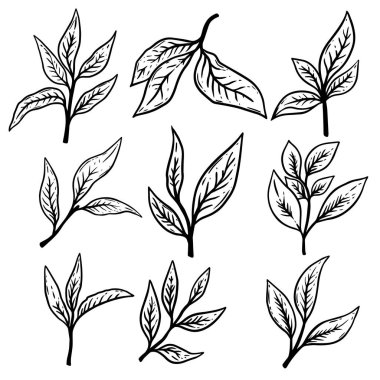 El çizilmiş çay seti çizimler bırakır. Poster, etiket, kart, afiş, el ilanı için tasarım öğesi.