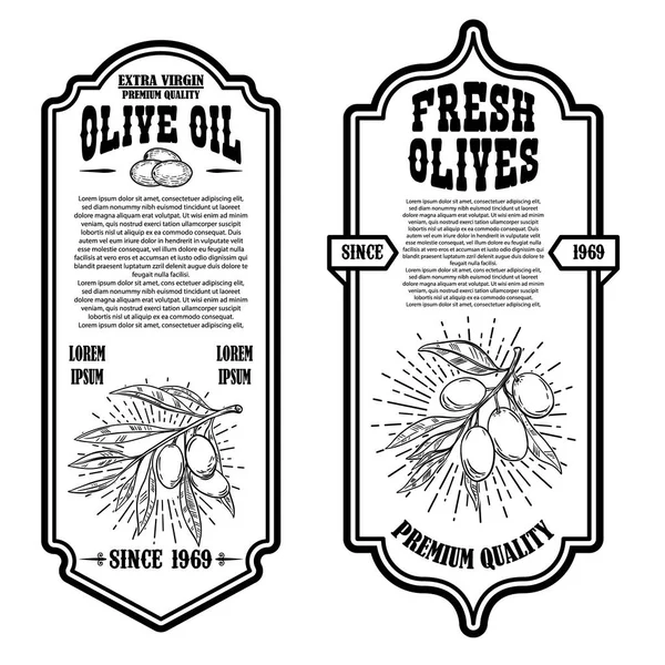 Conjunto de plantillas de folleto de aceite de oliva vintage. Elemento de diseño para logotipo, etiqueta, emblema, signo, insignia . — Vector de stock