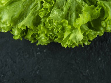 Taş zemin üzerinde taze marul yaprakları.