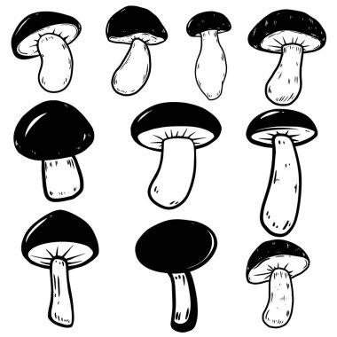 Beyaz arka planda bir dizi mantar çizimi. Poster, amblem, işaret, pankart için tasarım ögesi.
