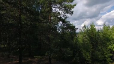 Quadrocopter bir video kamera ile yere kadar çam gövde boyunca kapalı alır. Büyük bir Nehri manzaralı