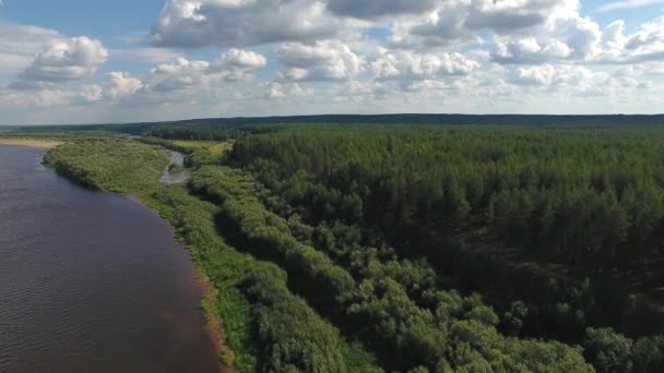 海岸に川の上を飛んでカメラで Quadcopter 海岸に育つ針葉樹林 — ストック動画