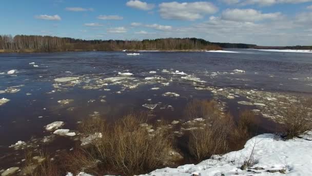 Våren Flyter Floden Bitar Isen Rör Sig Cirkel Uppifrån Och — Stockvideo