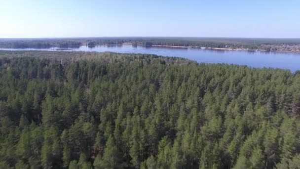 Topputsikt Över Tallskogen Och Floden Våren Floden — Stockvideo