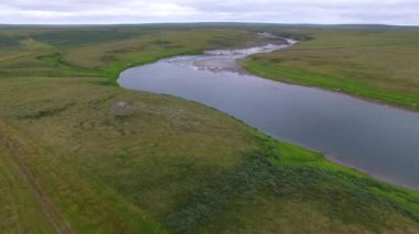 Tundra'daki Nehir.Kuzey'e doğru nehrin en iyi görünümü Kuzey Kutup Dairesi'nin ötesindeki tundrada