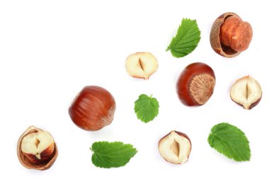 Beyaz arka plan üzerinde izole metin kopyalama yeri olan yaprakları ile fındık. Üstten Görünüm. Düz yatıyordu