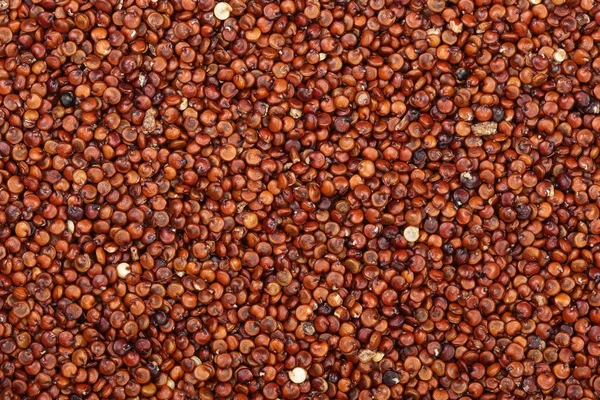 Семена красного киноа в качестве фона. Вид сверху — стоковое фото