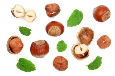 Beyaz arka plan üzerinde izole yaprakları ile fındık. Üstten Görünüm. Düz yatıyordu