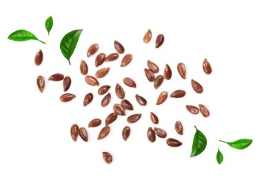 keten tohumu beyaz arka plan üzerinde izole yeşil yaprakları ile dekore edilmiştir. Üstten görünüm