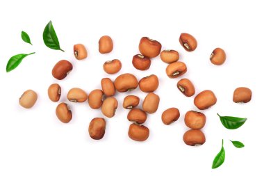 Beyaz arka plan üzerinde izole soya fasulyesi yeşil yaprakları ile süslenmiş. üstten görünüm