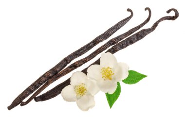 Çiçek ve yaprak beyaz arka plan üzerinde izole vanilya sopalarla. Üstten görünüm. Düz yatıyordu
