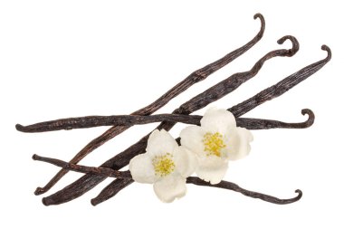 Çiçek ve yaprak beyaz arka plan üzerinde izole vanilya sopalarla. Üstten görünüm. Düz yatıyordu