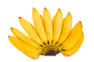 Beyaz arka plan üzerinde izole mini muz. Üstten görünüm. Düz yatıyordu