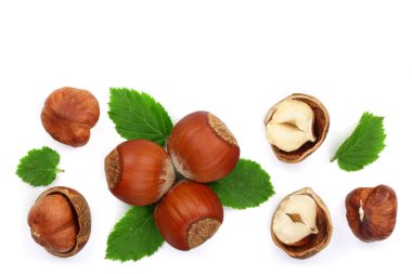 Beyaz arka plan üzerinde izole metin kopyalama yeri olan yaprakları ile fındık. Üstten Görünüm. Düz yatıyordu