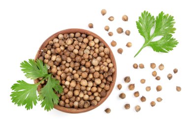 kişniş tohumu ve ahşap kase beyaz arka plan üzerinde izole yapraklarında. Üstten görünüm. Düz yatıyordu desen