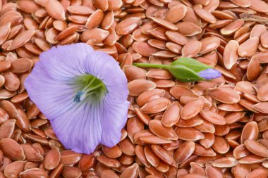 arka plan olarak çiçek ile keten tohumu yakın çekim